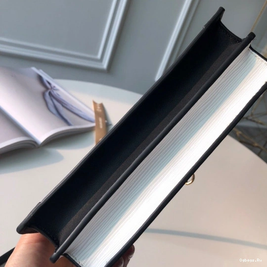 TRUNK Vuitton CHANELUTCH Louis 0425